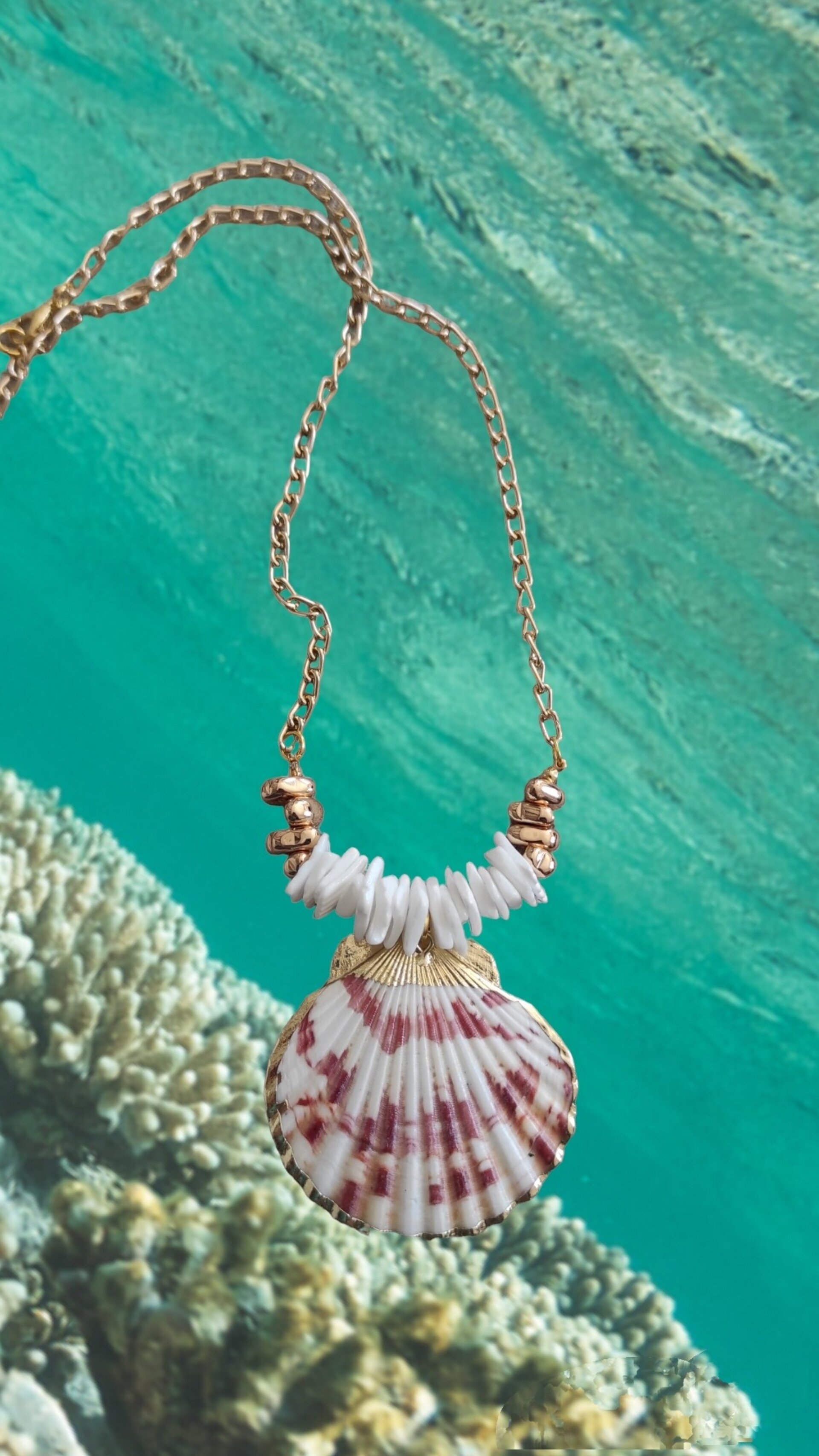 Collar cadena y Concha de Vieira natural - 8